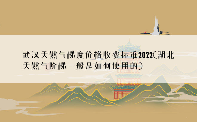 武汉天然气梯度价格收费标准2022(湖北天然气阶梯一般是如何使用的)